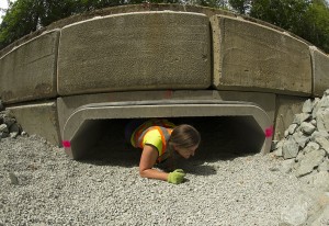 Ryder Lake Chilliwack toad tunnel