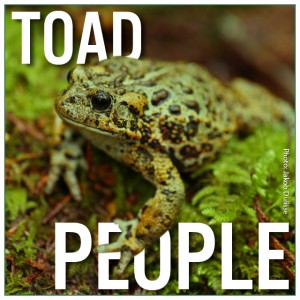 Toad People Indiegogo