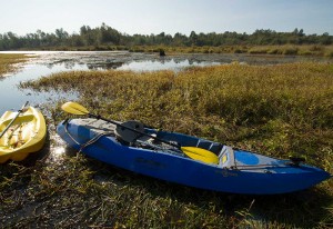 Kayaks are a great way to get around local wetlands to conduct fieldwork. (Photo: Isabelle Groc)